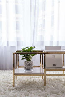 心里的栖所 | 69㎡北欧风家具搭配指南